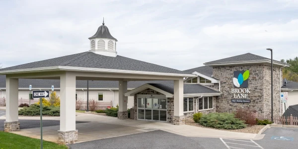 Brook Lane Health Services